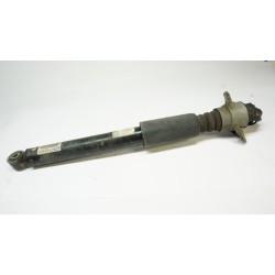 C7 Audi S6 Rear Shock Absorber Strut 4G0616031AA