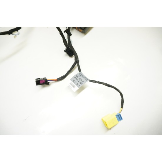 2013-2016 AUDI S4 Driver Door Wire Harness 8K0 971 029 BC