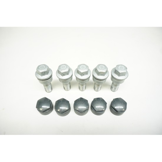 2019-2023 AUDI Q3 Wheel Lug Bolts and Caps - 5 Pack 8R0601295