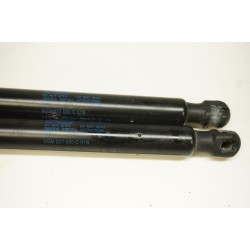 2017-2019 Golf Alltrack Trunk Lid Strut Set 5GM827550C