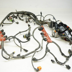 2013-2017 AUDI Q5 Supercharged Engine Wiring Harness 8K1-971-072-TB