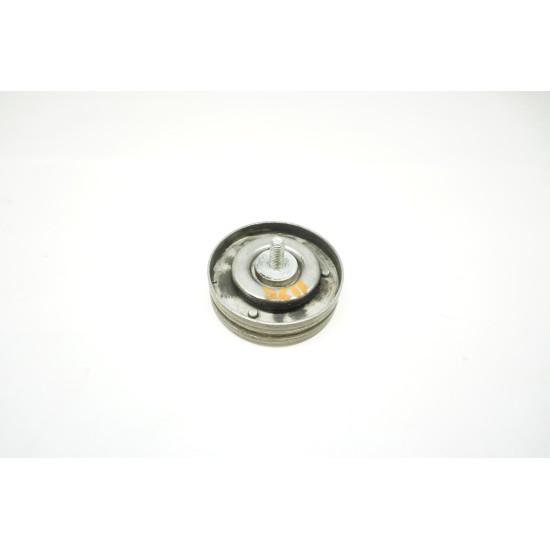 2013-2015 AUDI RS5 Engine Belt Idler Pulley 079903389A