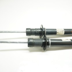 2017-2019 AUDI A4 Quattro Front Strut Set 8W0413031BA