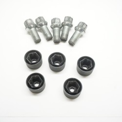 2012-2022 Volkswagen Passat Wheel Lug Bolts and Caps WHT002437